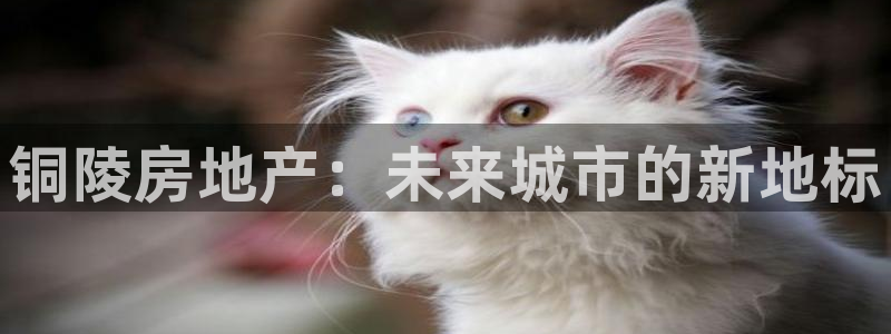 新宝5网址：铜陵房地产：未来城市的新地标
