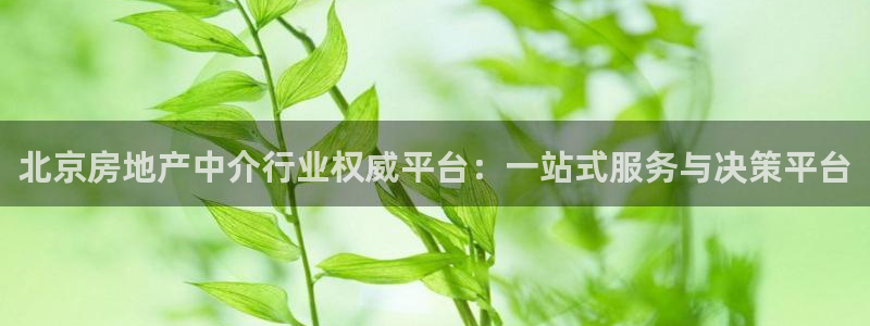 新宝5手机登录：北京房地产中介行业权威平台：一站式服务与决策