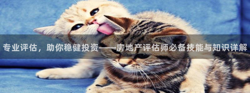 新宝5登录地址：专业评估，助你稳健投资——房地产评估师必备技