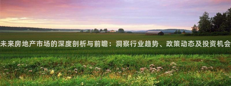 新宝5下载app：未来房地产市场的深度剖析与前瞻：洞察行业趋