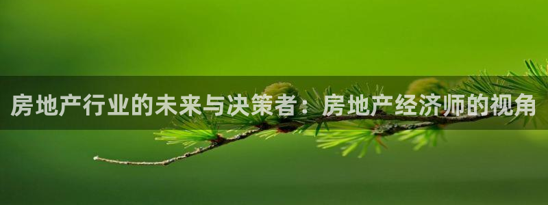新宝5娱乐如：房地产行业的未来与决策者：房地产经济师的视角