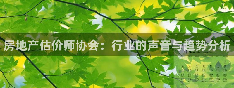 新5宝：房地产估价师协会：行业的声音与趋势分析