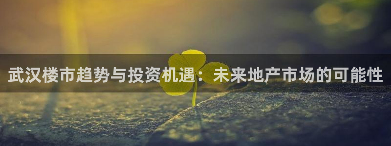 新宝5开户：武汉楼市趋势与投资机遇：未来地产市场的可能性