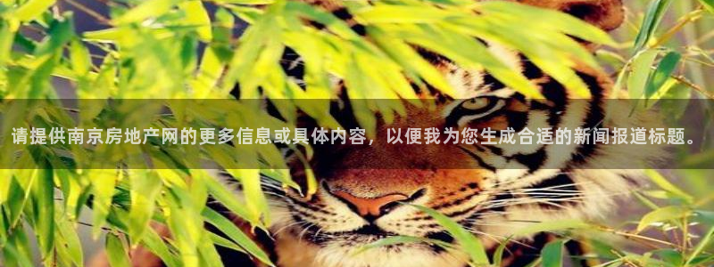 新宝5平台霸：请提供南京房地产网的更多信息或具体内容，以便我