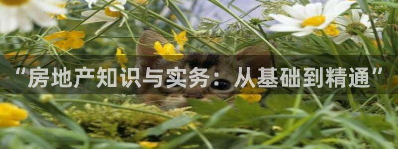新宝5秒开：“房地产知识与实务：从基础到精通”