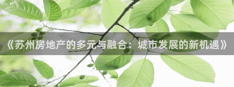 新宝xb5：《苏州房地产的多元与融合：城市发展的新机遇》