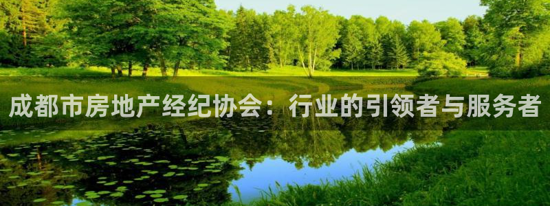 新宝5是什么：成都市房地产经纪协会：行业的引领者与服务者