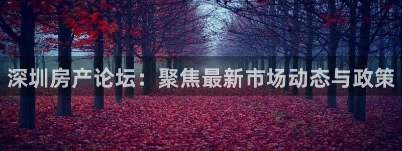新宝5注册首页：深圳房产论坛：聚焦最新市场动态与政策