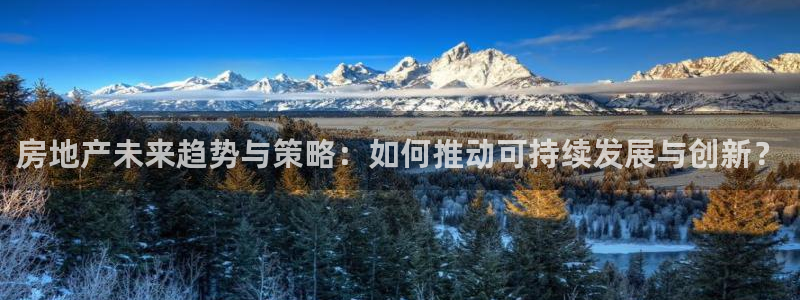 新宝5X：房地产未来趋势与策略：如何推动可持续发展与创新？