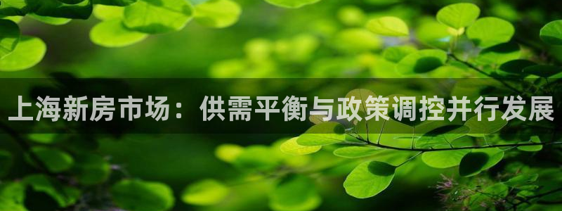 新宝5账号注册：上海新房市场：供需平衡与政策调控并行发展
