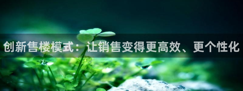 新5宝：创新售楼模式：让销售变得更高效、更个性化
