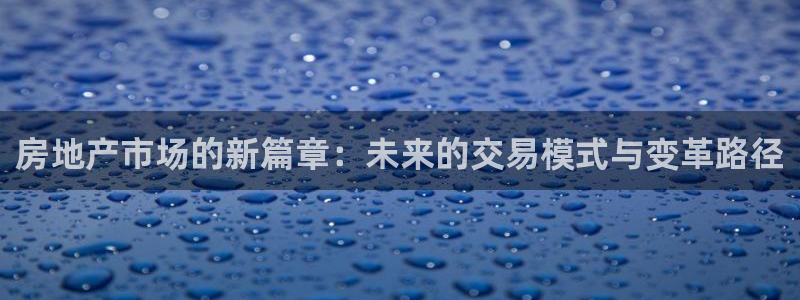 新宝那2O5O5O：房地产市场的新篇章：未来的交易模式与变革