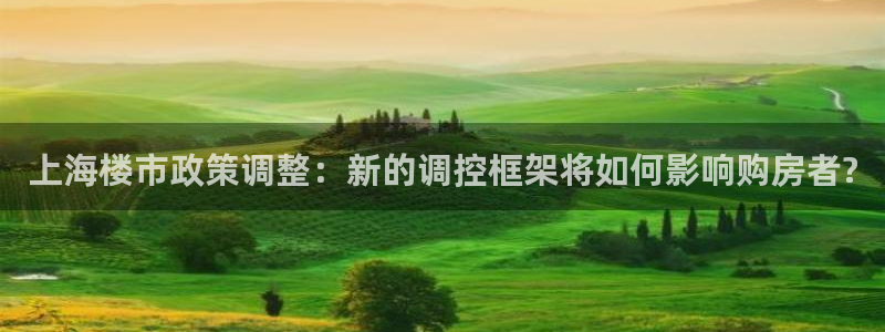 新宝5注册首页：上海楼市政策调整：新的调控框架将如何影响购房