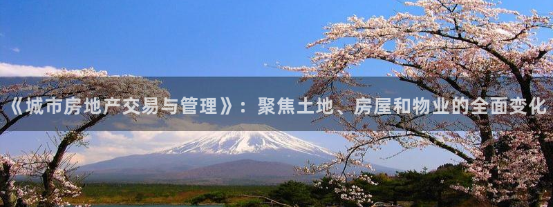 新宝5寻33 300球
