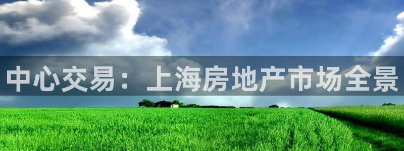新宝5注册链接：中心交易：上海房地产市场全景