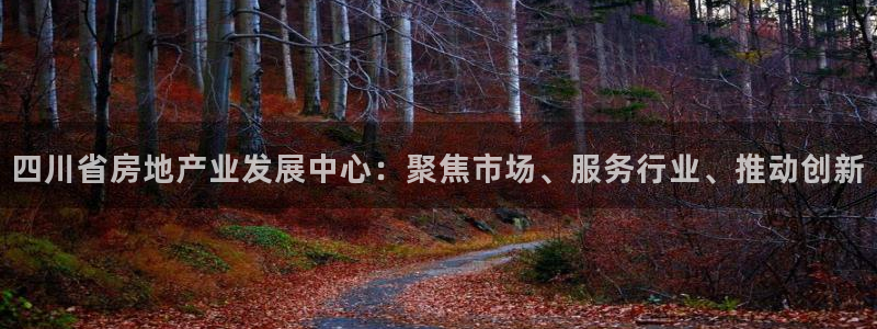 新宝5如何注册：四川省房地产业发展中心：聚焦市场、服务行业、