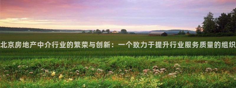 新宝5彩票是正规平台吗：北京房地产中介行业的繁荣与创新：一个