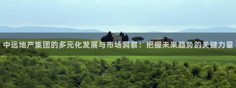新宝5如何注册：中远地产集团的多元化发展与市场洞察：把握未来