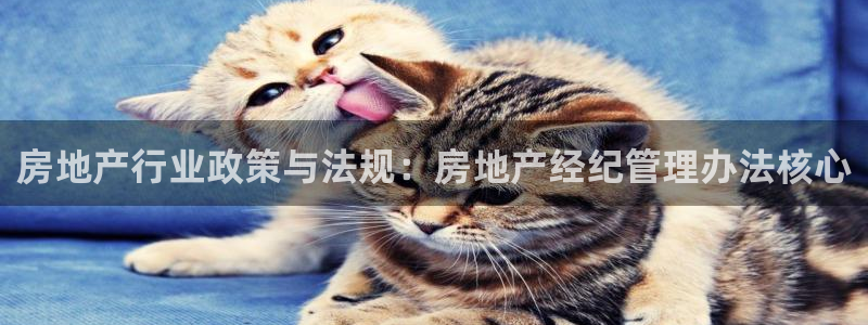 新宝5手机app：房地产行业政策与法规：房地产经纪管理办法核