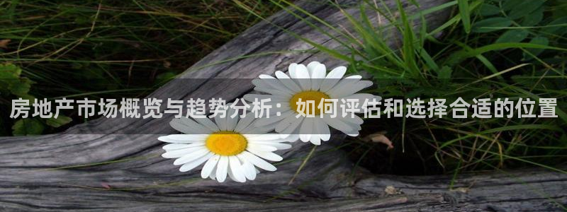 新宝5平棋牌：房地产市场概览与趋势分析：如何评估和选择合适的