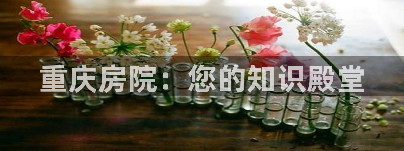新宝5平台登录注册：重庆房院：您的知识殿堂