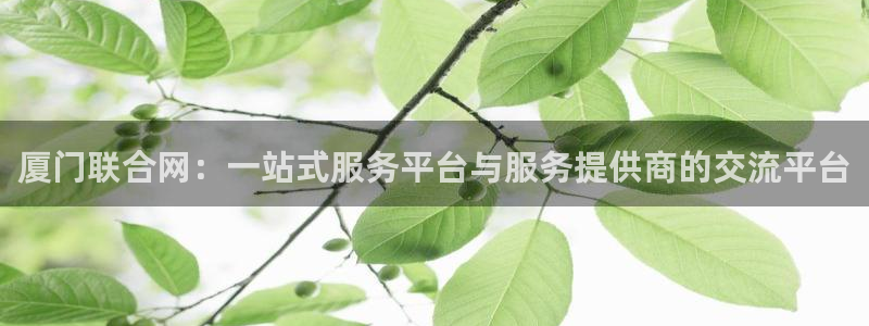 新宝5下载软件：厦门联合网：一站式服务平台与服务提供商的交流