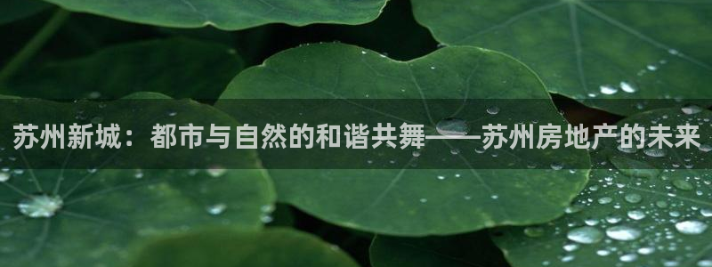 新宝5 888：苏州新城：都市与自然的和谐共舞——苏州房地产