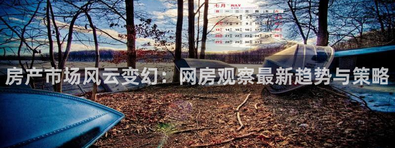 新宝5入口：房产市场风云变幻：网房观察最新趋势与策略