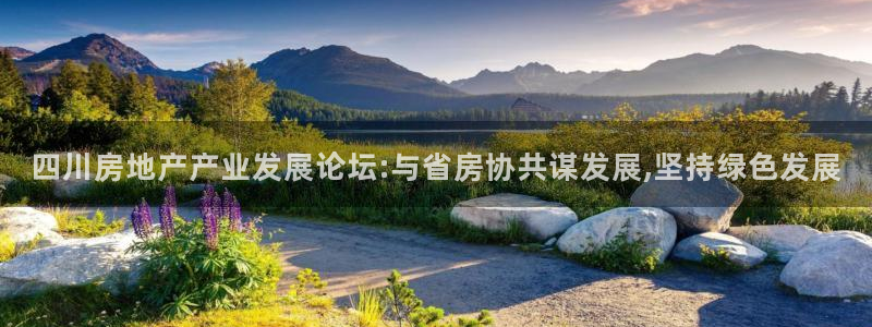 新宝5月：四川房地产产业发展论坛:与省房协共谋发展,坚持绿色