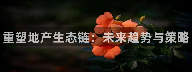 新宝5为啥开：重塑地产生态链：未来趋势与策略