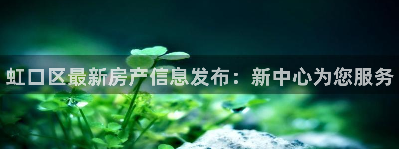 新宝5 - 测速登陆：虹口区最新房产信息发布：新中心为您服务
