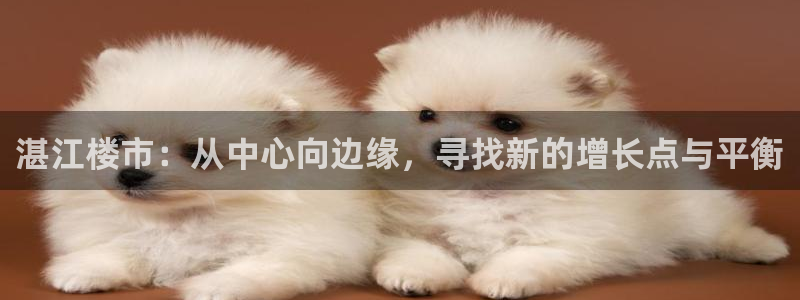 新宝5 注册：湛江楼市：从中心向边缘，寻找新的增长点与平衡