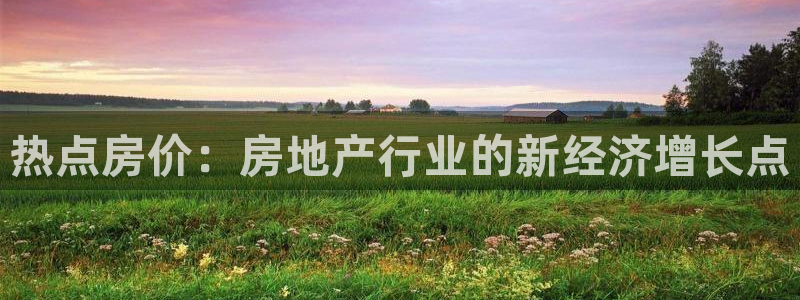 新宝5测速登录：热点房价：房地产行业的新经济增长点
