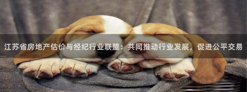 新宝测速5：江苏省房地产估价与经纪行业联盟：共同推动行业发展