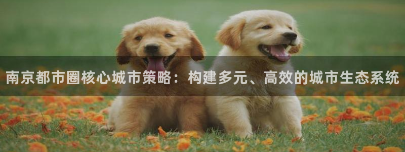 新宝5下载注册：南京都市圈核心城市策略：构建多元、高效的城市