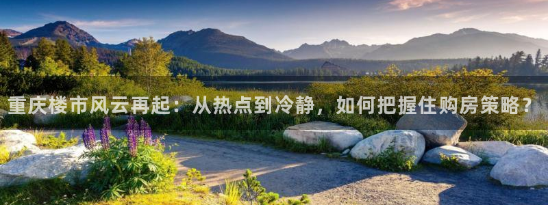 新宝娱乐5入口：重庆楼市风云再起：从热点到冷静，如何把握住购
