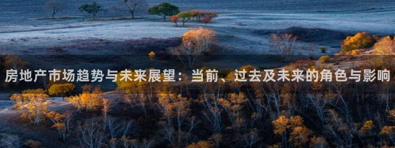 新宝5娱乐没：房地产市场趋势与未来展望：当前、过去及未来的角
