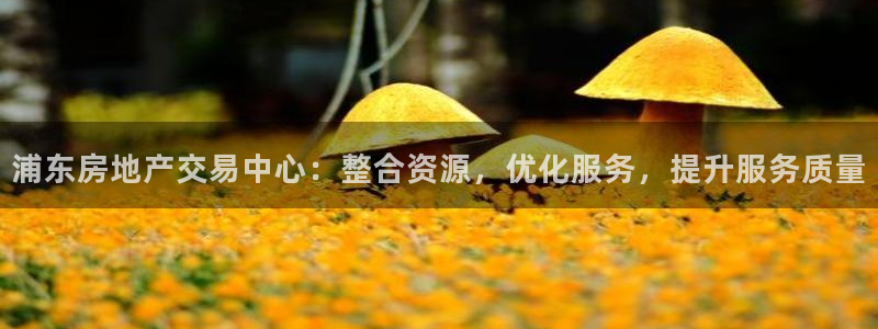 新宝5娱乐登陆：浦东房地产交易中心：整合资源，优化服务，提升