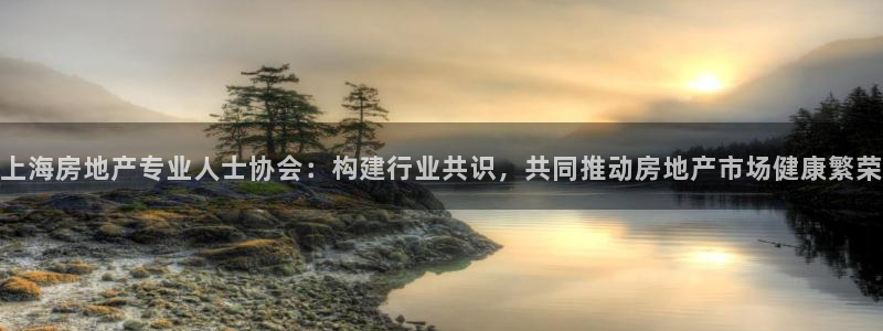 新宝5平台登陆：上海房地产专业人士协会：构建行业共识，共同推