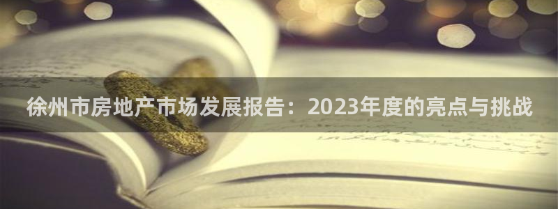 新宝5-测速：徐州市房地产市场发展报告：2023年度的亮点与