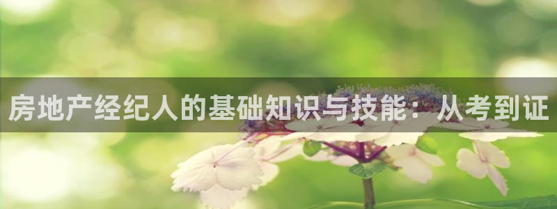 新宝b2O5O5O：房地产经纪人的基础知识与技能：从考到证