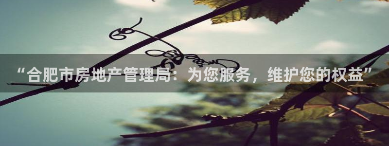 股票5G宝新：“合肥市房地产管理局：为您服务，维护您的权益”