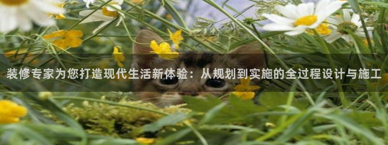 新宝5测登录：装修专家为您打造现代生活新体验：从规划到实施的