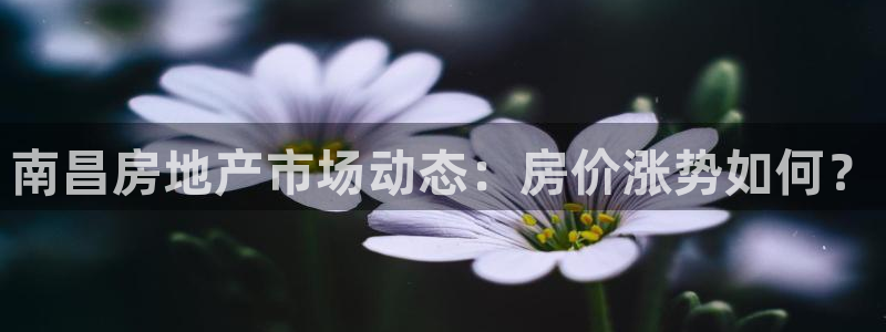 新宝5娱乐如：南昌房地产市场动态：房价涨势如何？