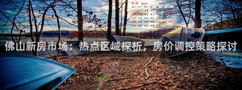 新宝股东张听2 5 5：佛山新房市场：热点区域探析，房价调控