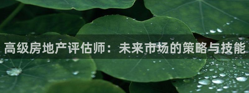 新宝5手机版登录：高级房地产评估师：未来市场的策略与技能