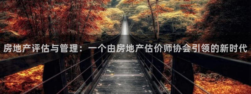 新宝5下载网址：房地产评估与管理：一个由房地产估价师协会引领