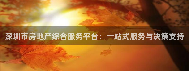 新宝5怎么下载到桌面：深圳市房地产综合服务平台：一站式服务与