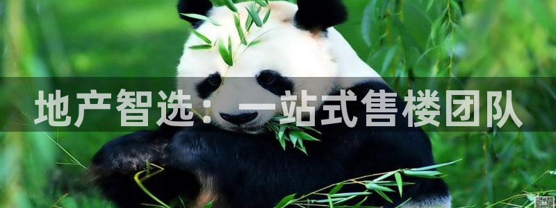新宝5地址：地产智选：一站式售楼团队