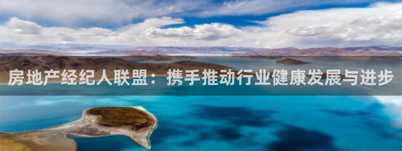新宝5注册霸：房地产经纪人联盟：携手推动行业健康发展与进步